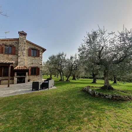 Villa Lisabetta Montecchio  Esterno foto