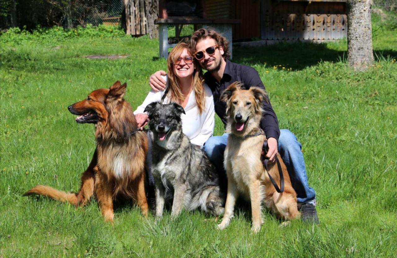 Villa Lisabetta Montecchio  Esterno foto