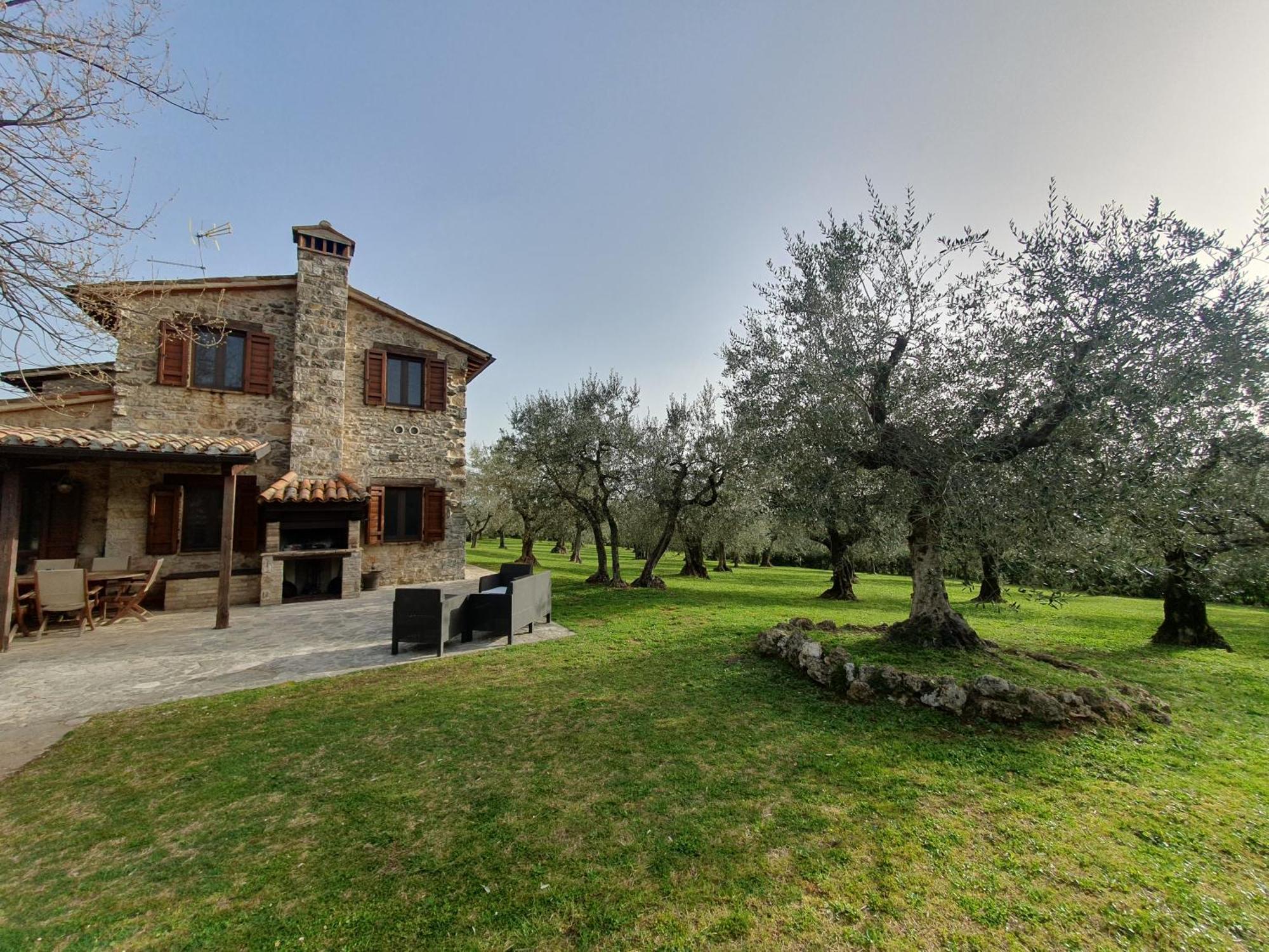 Villa Lisabetta Montecchio  Esterno foto